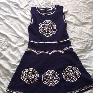 Mandala Embroidered Navy Skater Dress